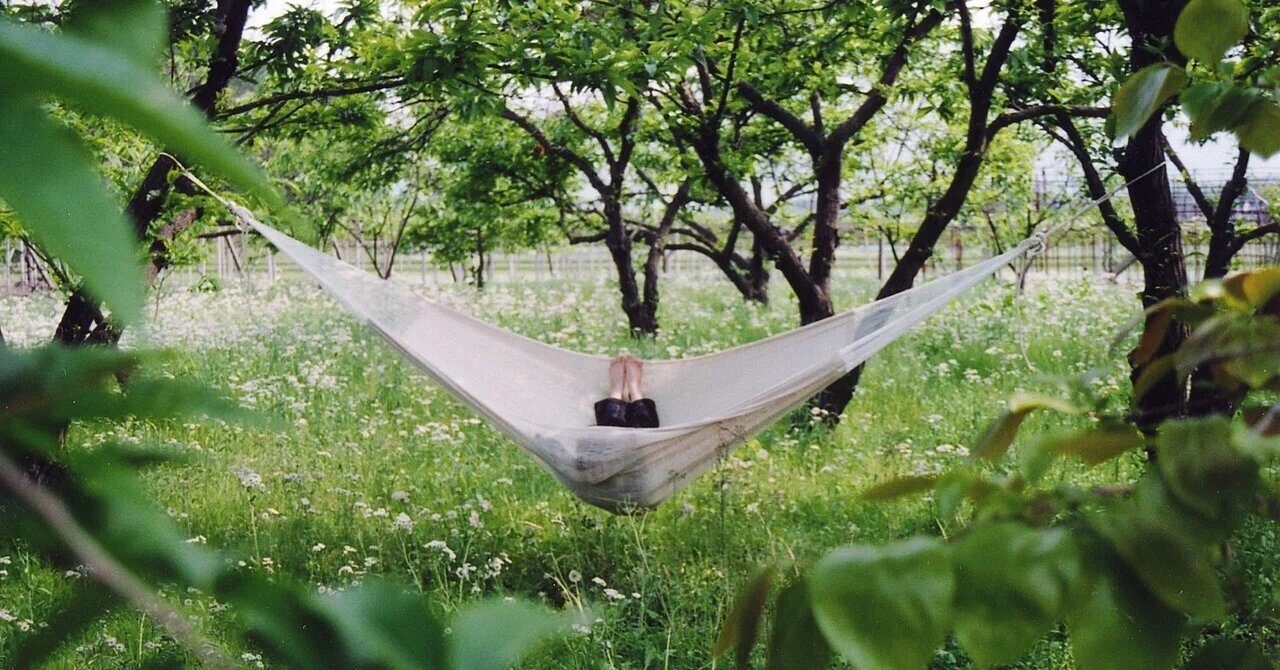 Hammock2000 | ハンモック2000