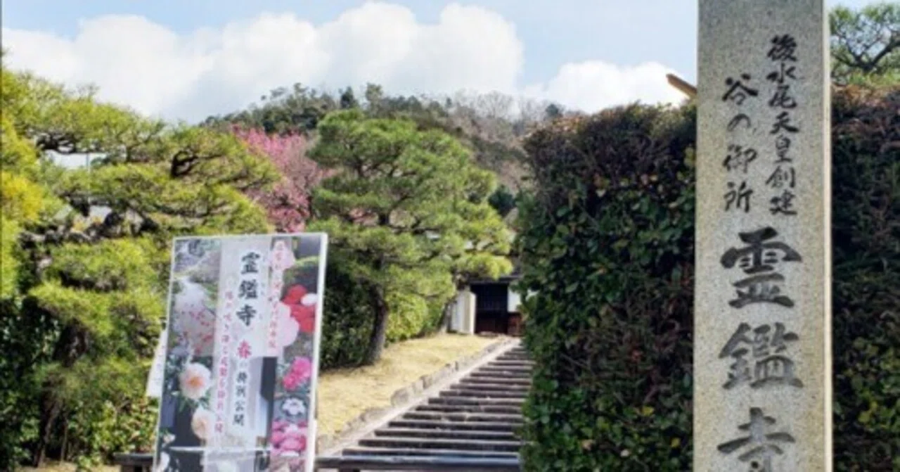 西陣織 抱え帯地 帛紗挟み（懐紙入れ）1980年 銘「白椿」｜ねこのま