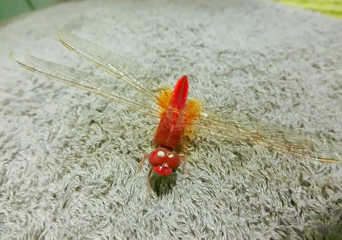 画像17