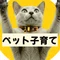 ひゅーと学ぼうペット子育て フォロバ100