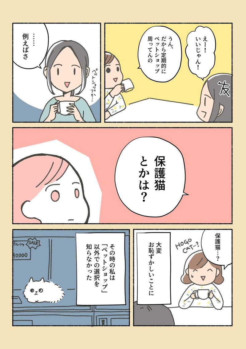 保護猫ちゃんを家にお迎えするまでの話 オキエイコ Note