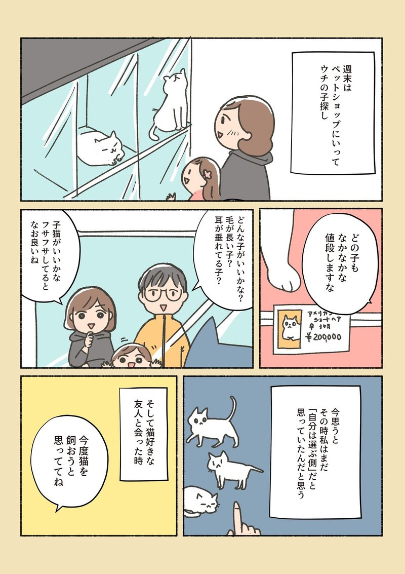 保護猫ちゃんを家にお迎えするまでの話 オキエイコ Note