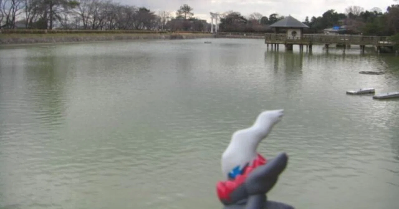 ポケモンキッズと旅する 第216回 ダークライ|京都府長岡京市｜Kasadera 