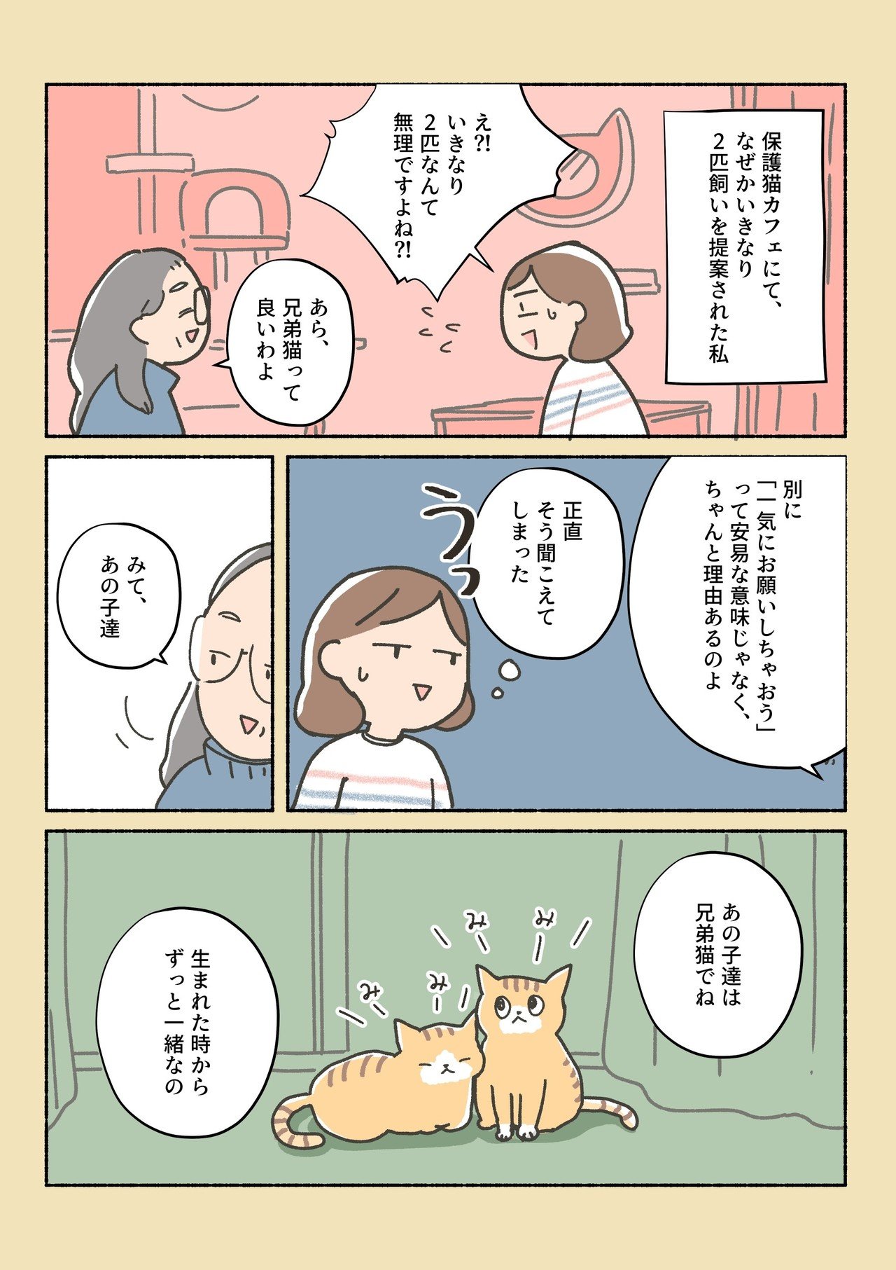 保護猫ちゃんを家にお迎えするまでの話7 オキエイコ Note