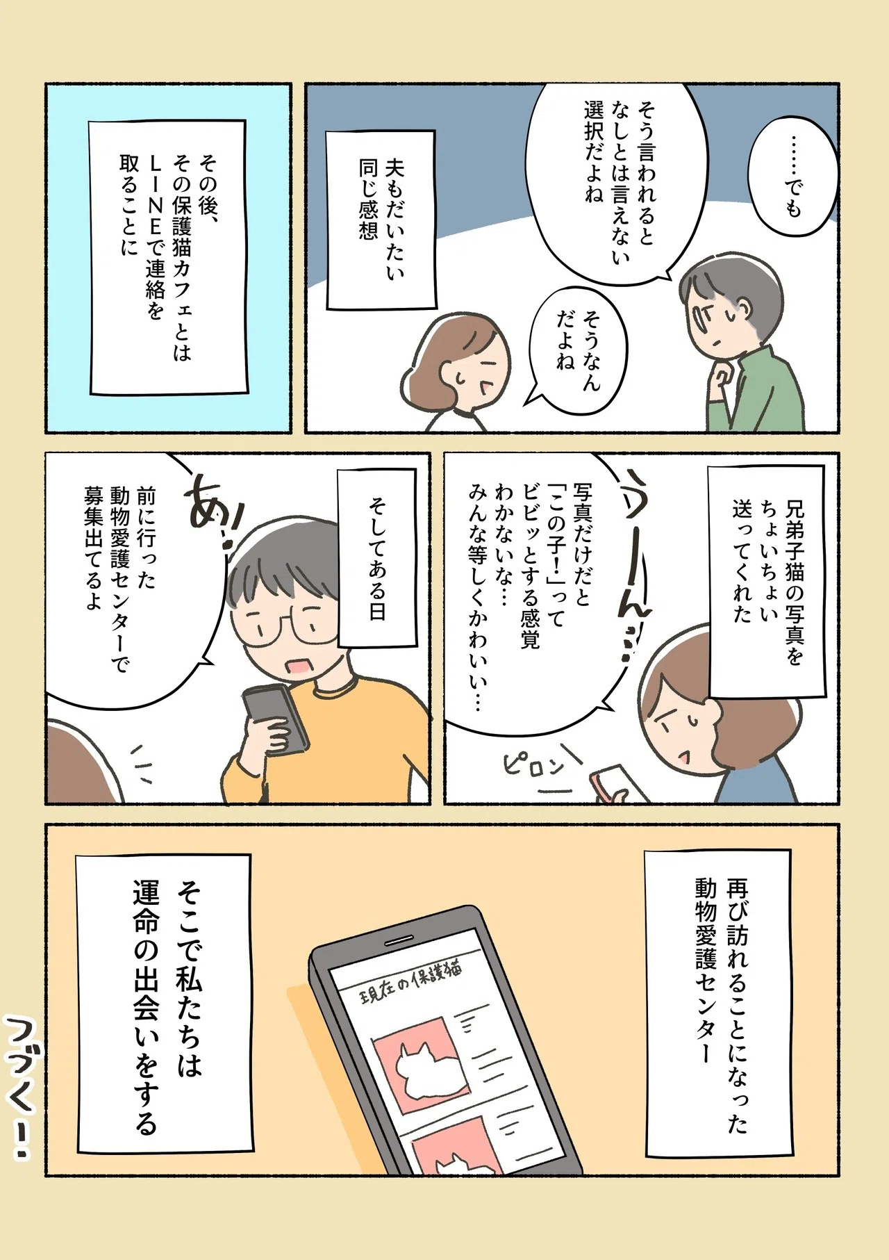 保護猫ちゃんを家にお迎えするまでの話7|オキエイコ|note