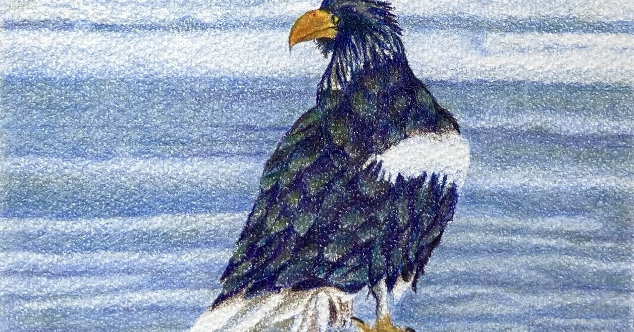今頃、大阪で。『鳥ばっかり展』後半スタート｜shiho【色鉛筆画】