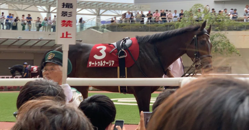 レース後コメント集 宝塚記念出走予定馬 ぱひーと競馬のお話 Note