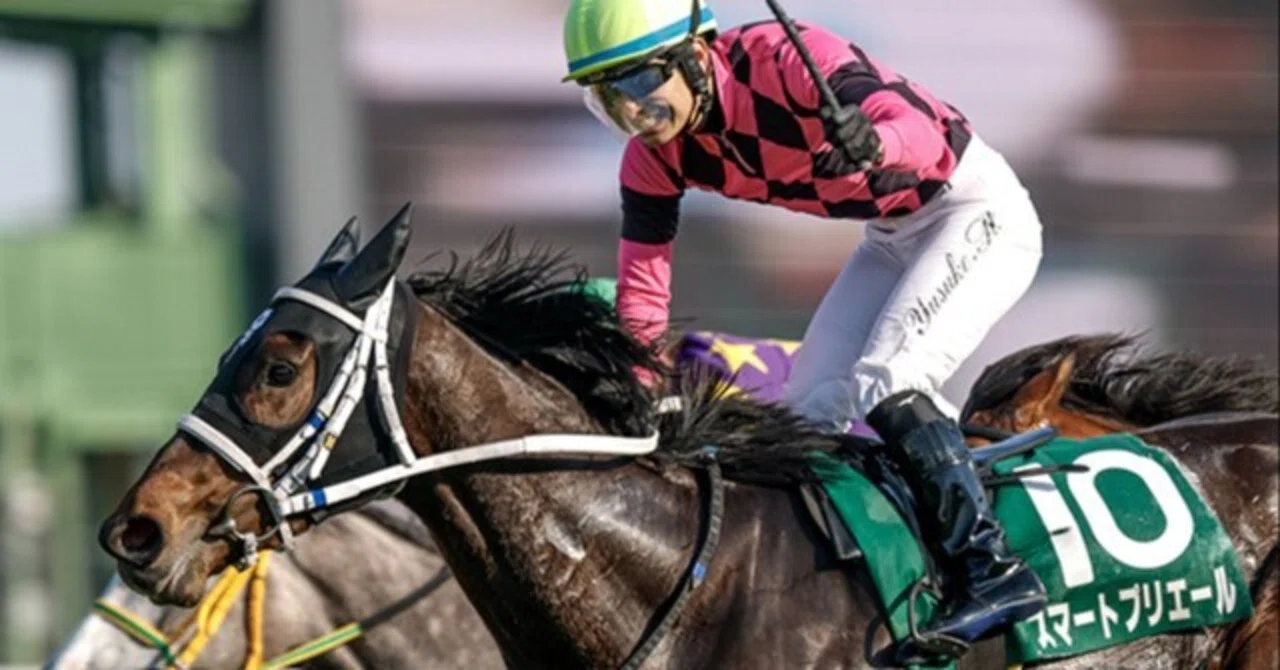 本 レア本！⭐︎クラシック馬の追求 競走馬の血統パターン⭐︎