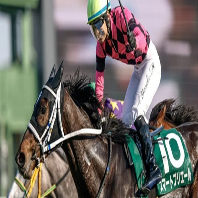 競走馬血統白書 オークスへ向けて④スマートプリエール｜西村教範