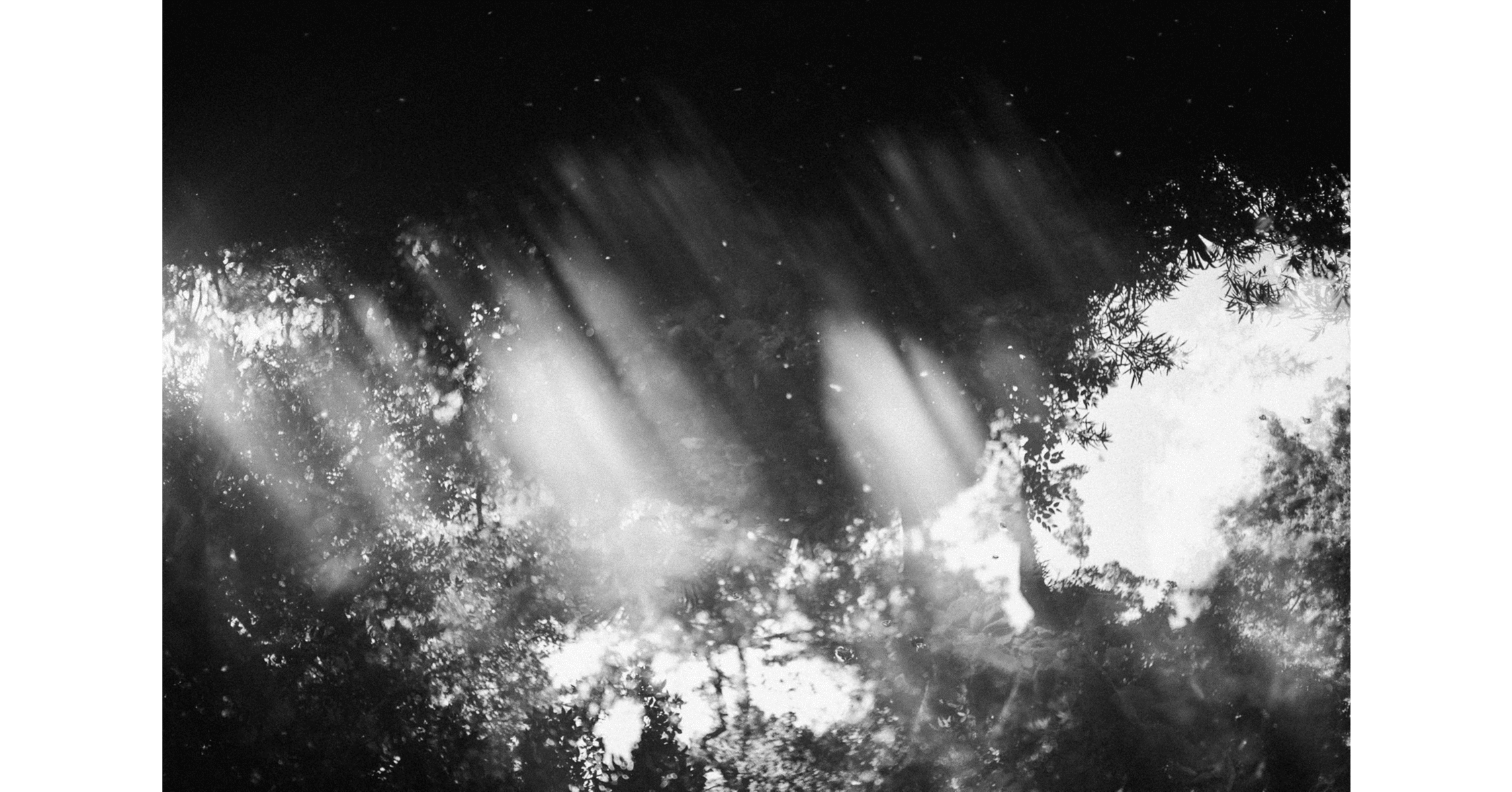 キングヌー 歌詞 白日