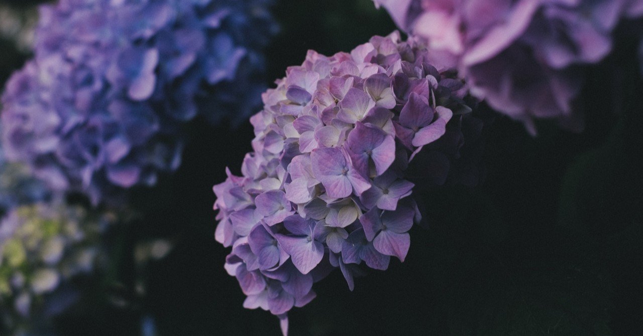 富士フイルムxシリーズとちょっとした音響でzoom会議の臨場感を向上させる 渡邉宣之 Note 富士フイルムxシリーズとちょっとした音響でzoom会議の臨場感を向上させる 渡邉宣之 Note