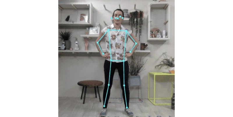 事前学習済みの Tensorflow Js モデル のまとめ Npaka Note