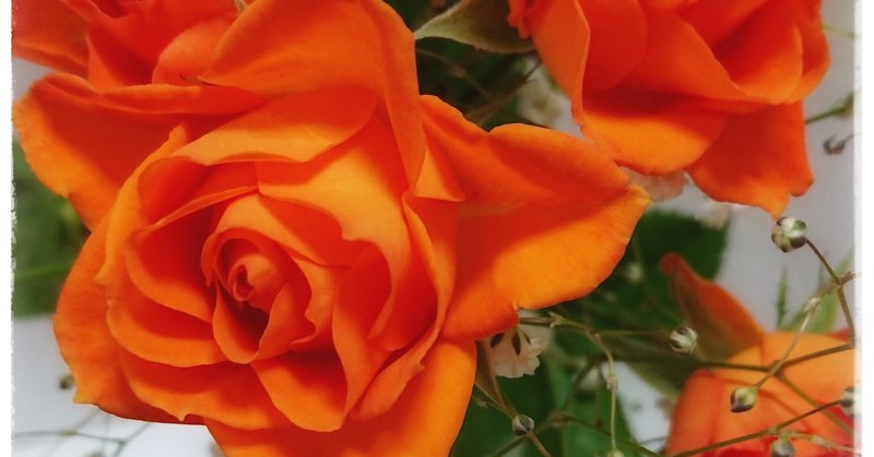 村田裕美 りた Note