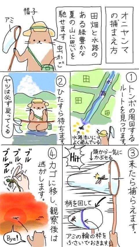 夏が待ち遠しい サツキレモン Note