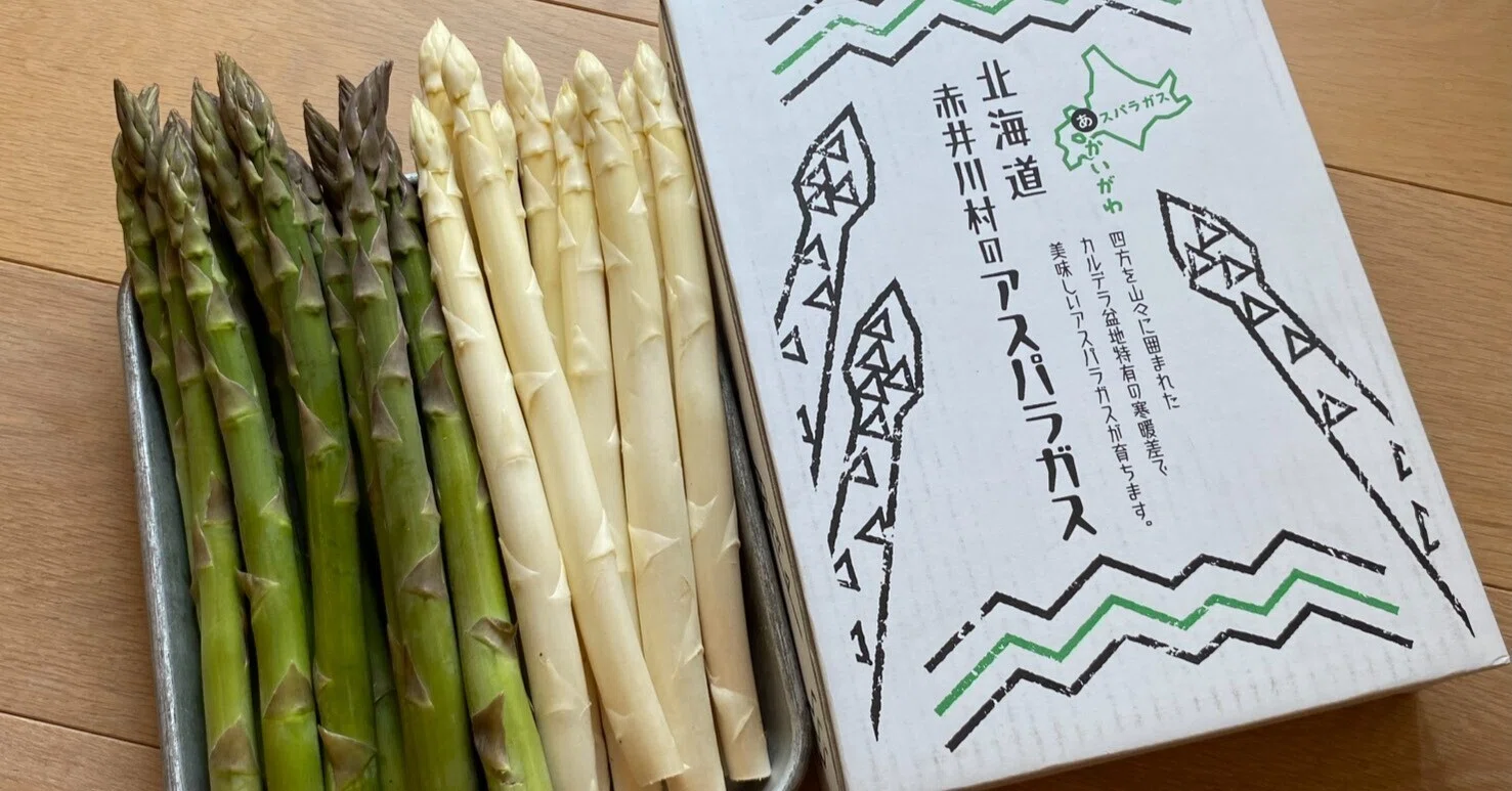 北海道・赤井川村のアスパラガス｜青池隆明
