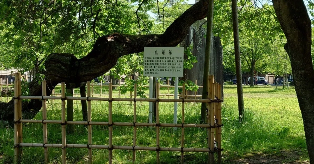 人生の危機　パッセージ I・II セット　ゲイルシーヒィ　プレジデント社 友と出会って仙台旅行へ。コージー・ミステリを読み、パトレイバーEZY