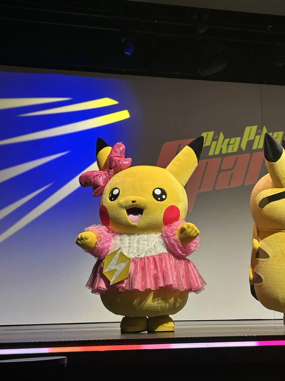 ポケパークカントー楽しすぎ｜おおきないぬがひるねをしている