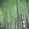 もうりまこ 寺嫁はエステティシャン