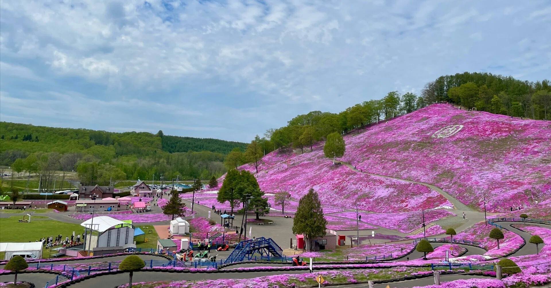 北海道・ひがしもこと芝桜公園｜たった一人の手作業から始まった