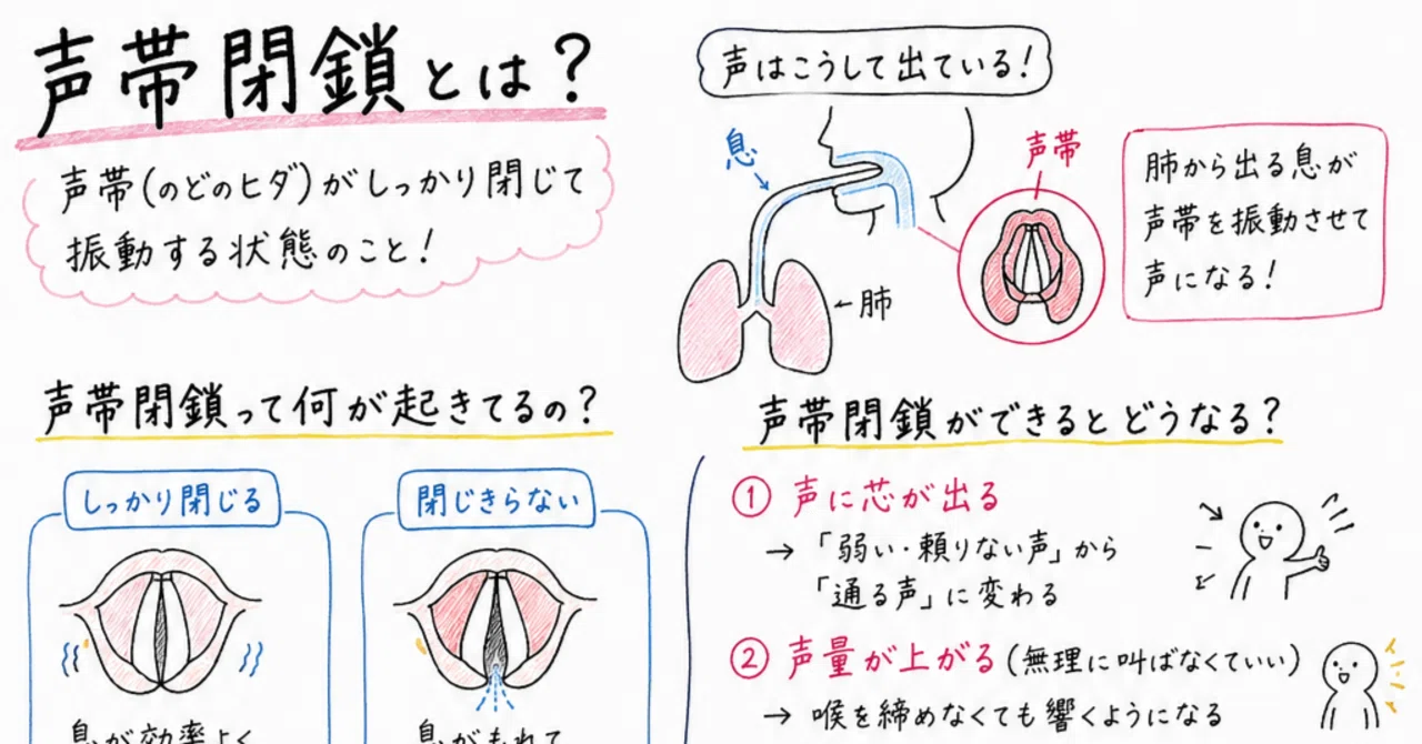 声量ほしい方へ、声帯閉鎖ってなに？｜ゆかり先生