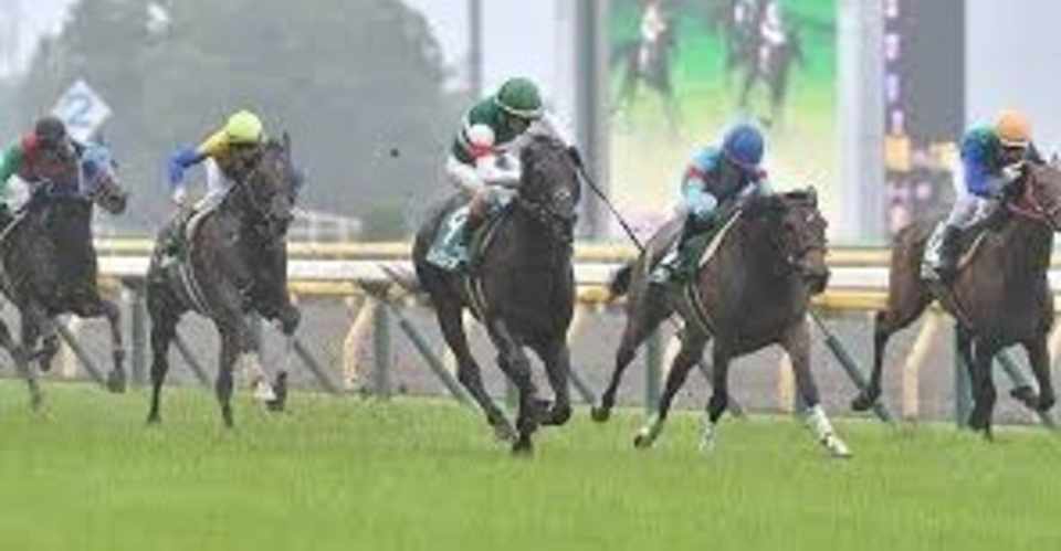 エプソムカップ予想 競馬の始まりであり原点 ちあきの考える競馬予想 Note