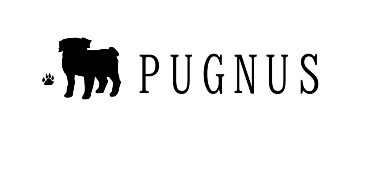 サングラスも種類がある話｜PUGNUS