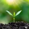 内なる手帖🌱