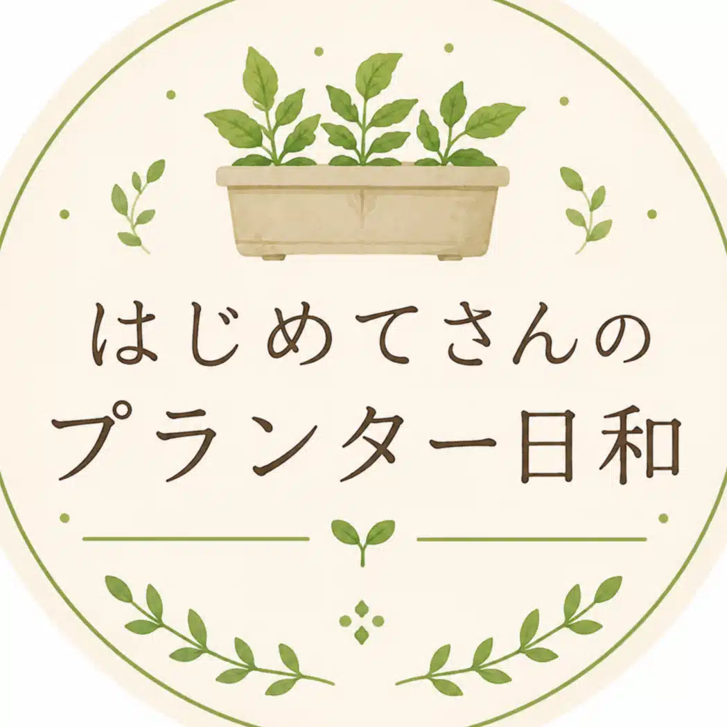はじめてさん
