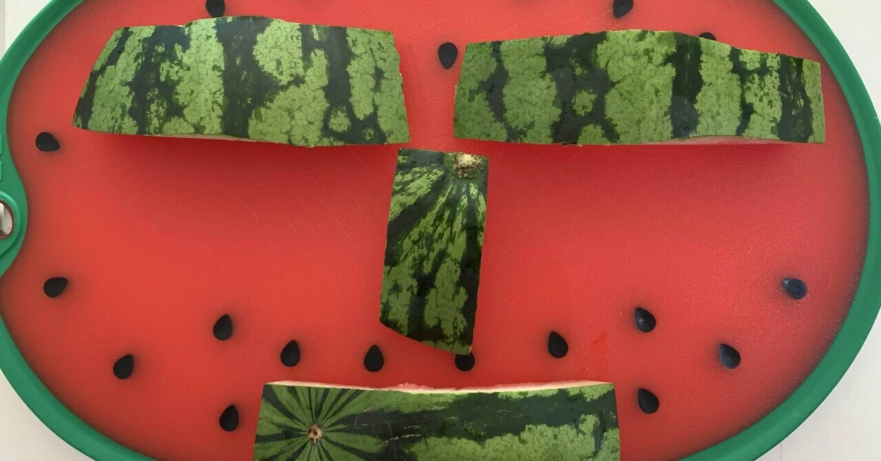 スイカ🍉が大好き！あと、フルーツ全般高いけど一般人は買ってるの