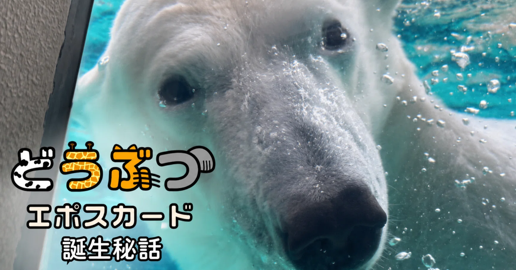 どうぶつエポスカード」誕生秘話！｜マルイノホンネ│丸井グループ