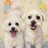 my_little_white_angels