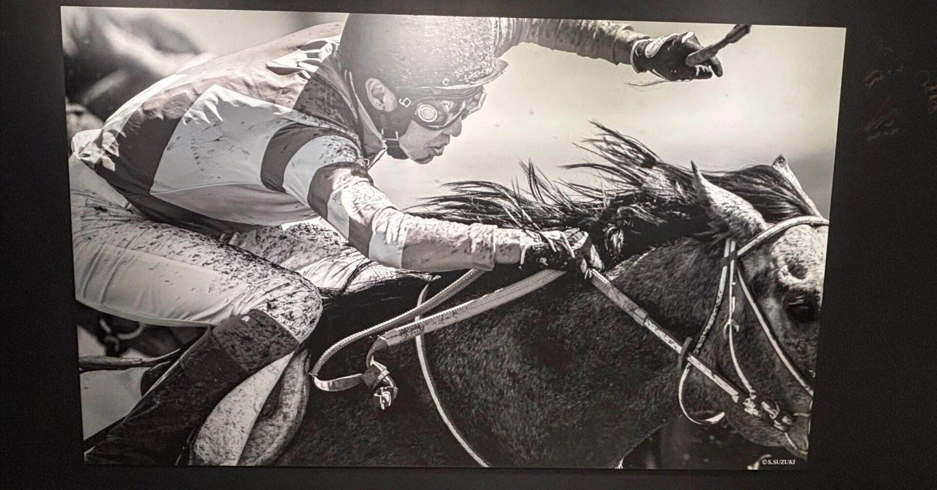 JRA 【武豊 デビュー40年～前人未到の記録】ドウデュース号ぬいぐるみ他 雑感】記念展示：「武豊 デビュー40年 ～前人未到の記録～」に行って