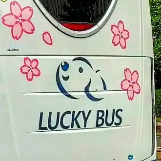 Be Lucky！ 5hours1minutes（The option value of life）