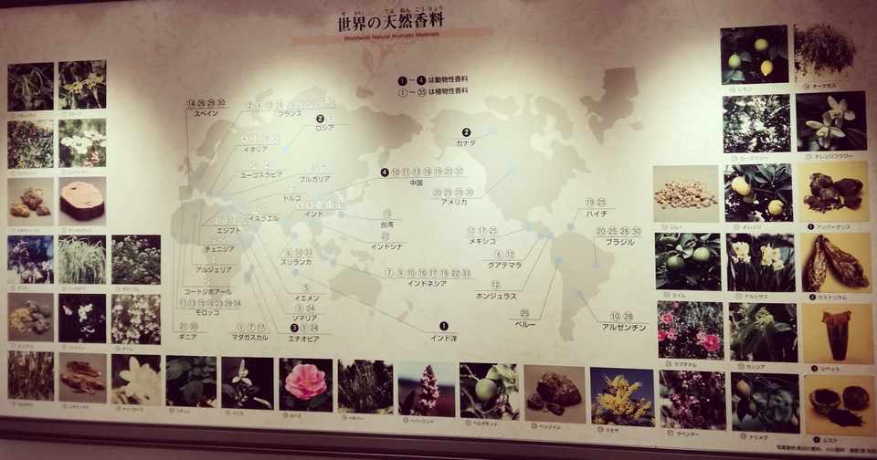 7タイプ創作のベース 3語族 アーリア人 高山矼 Note