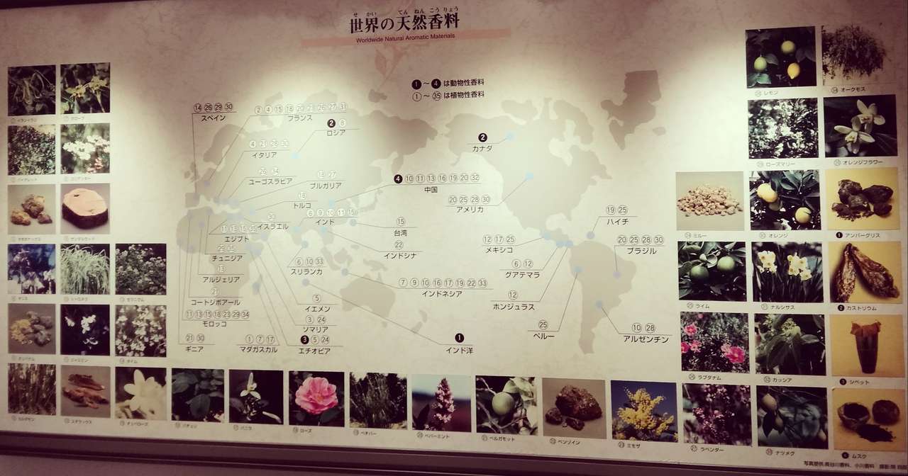 7タイプ創作のベース 3語族 アーリア人 高山矼 Note