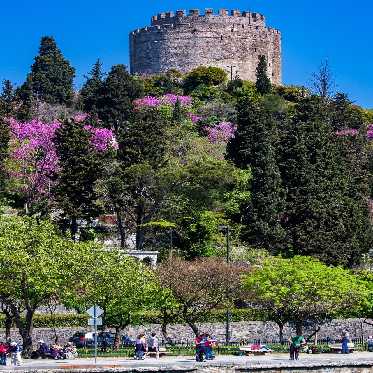 ボスポラス海峡クルーズ Zenpaku Note