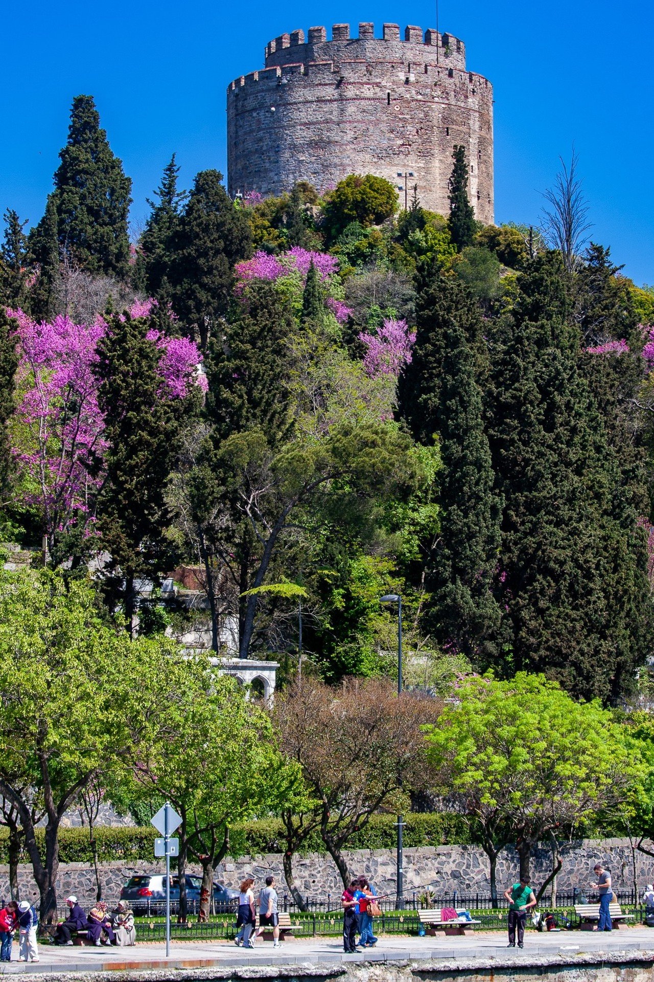 ボスポラス海峡クルーズ Zenpaku Note ボスポラス海峡クルーズ Zenpaku Note