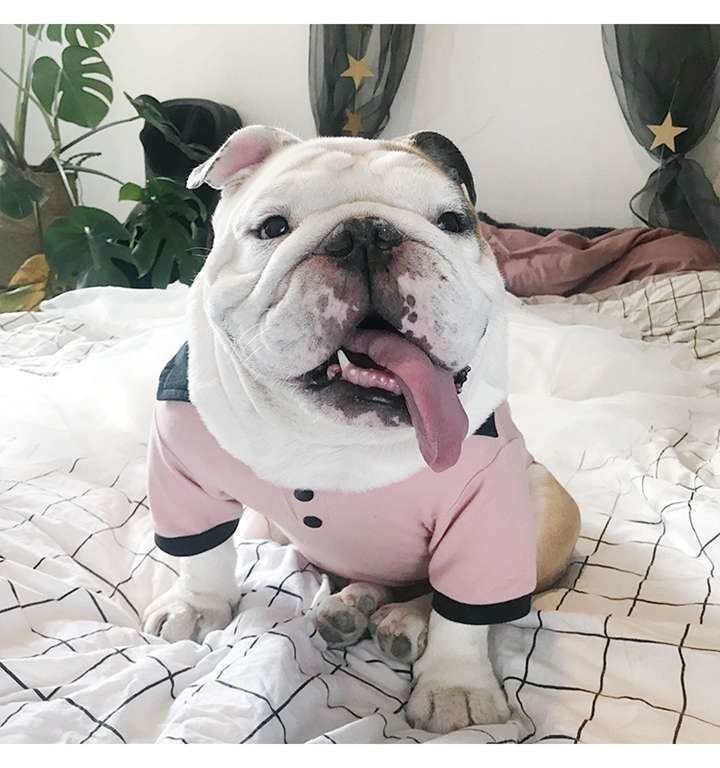 ペット用品 Ydnebbpet Note