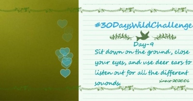 Day-9 : Sit down on the ground, close your eyes, and use deer ears to listen out for all the different sounds.