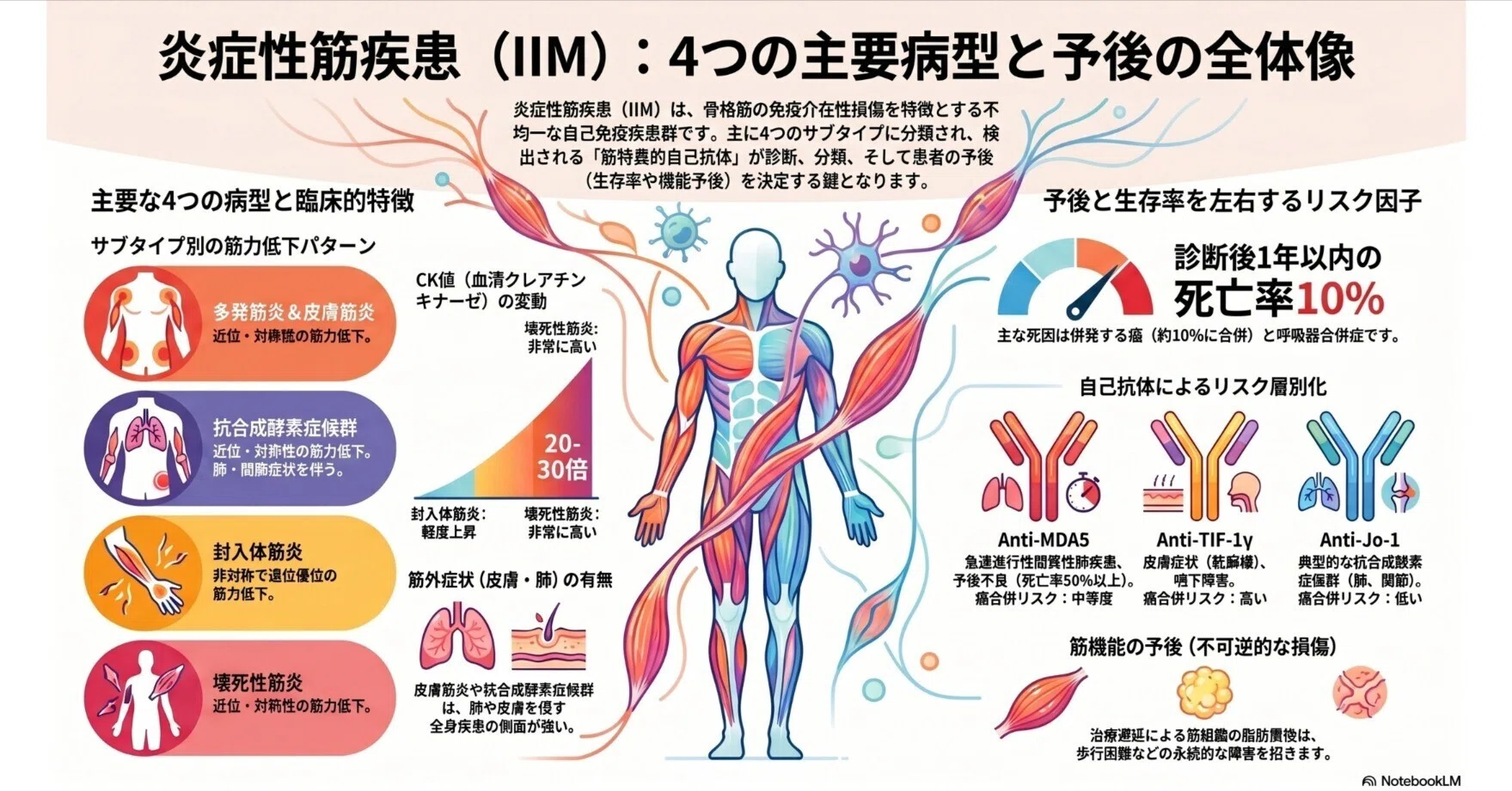 代謝性ミオパチー 基本メカニズムと診断 炎症性ミオパチー：4つの主要病型｜Makisey