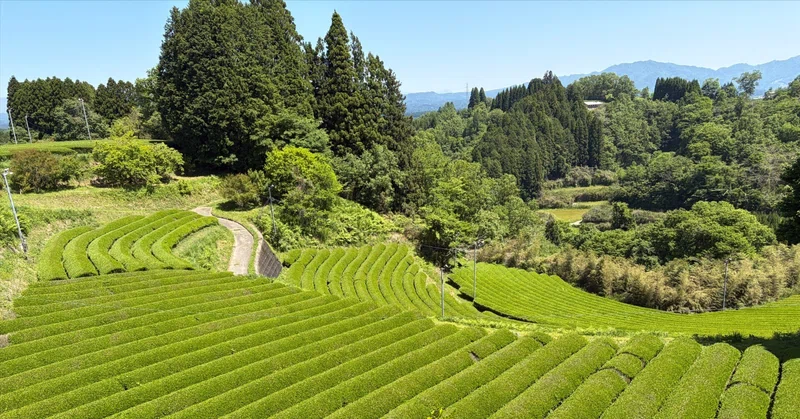 シンロボ農場訪問記 #1宮崎茶房—母の生家を訪ねて