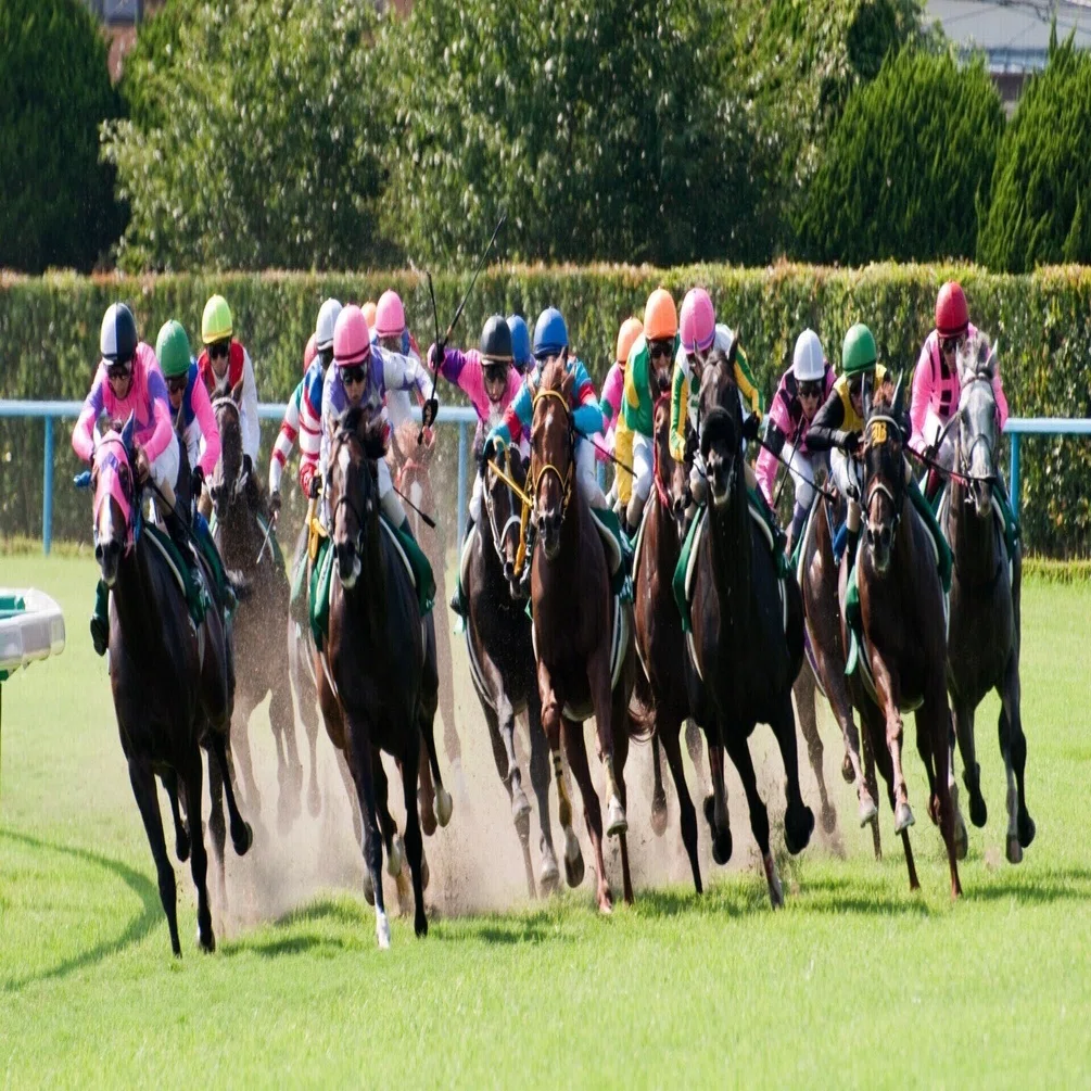 5.23中央競馬勝負レース｜無名【競馬予想】