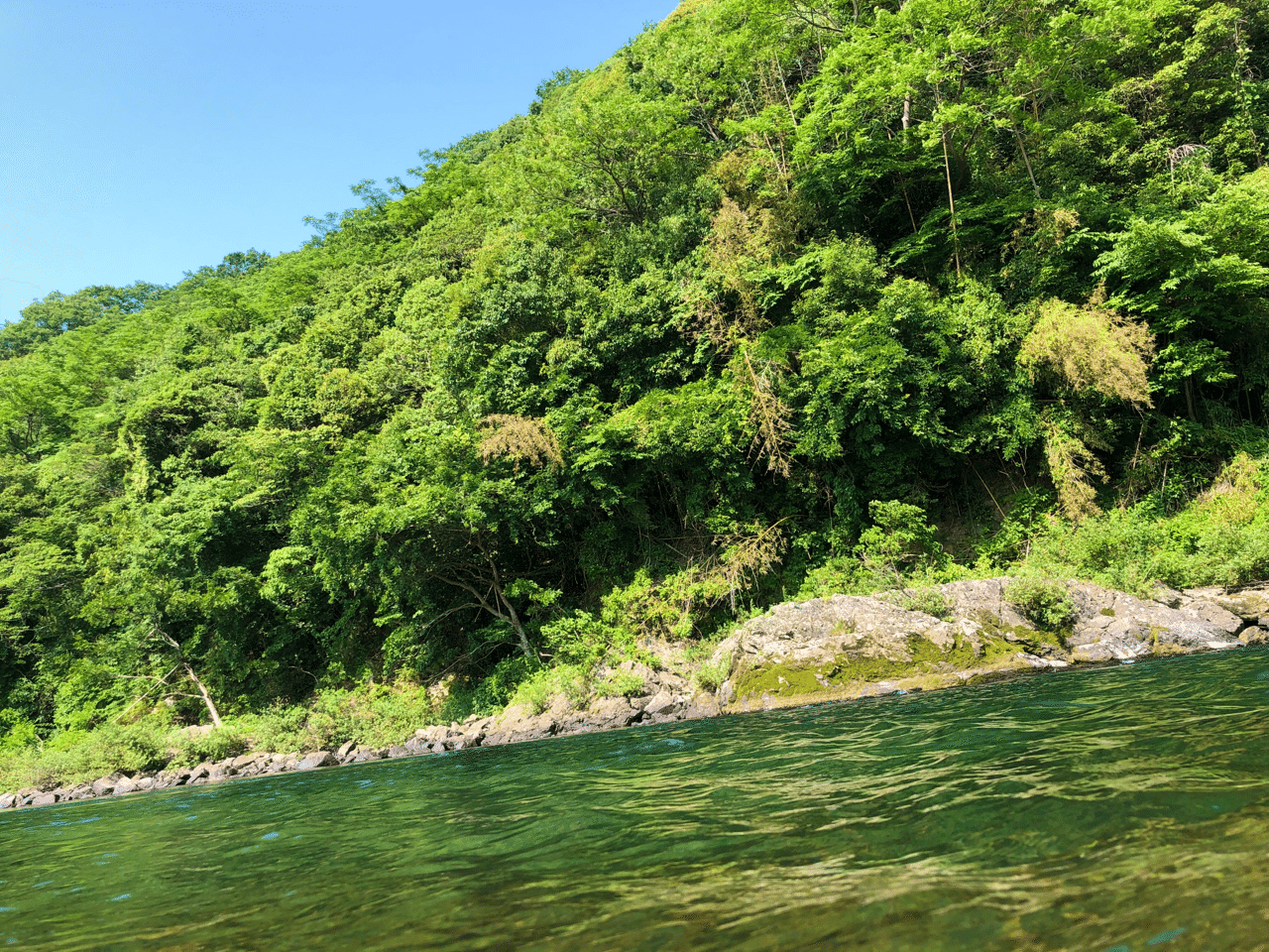 サツキマスに挑む In錦川 人生釣り三昧 3 かずおか Note