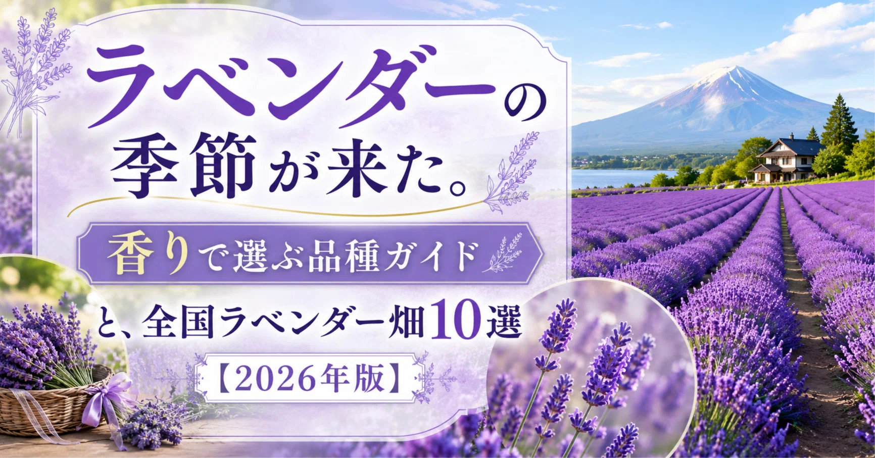 ラベンダーの季節が来た。香りで選ぶ品種ガイドと、全国ラベンダー畑10