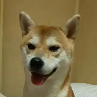 rie_maru_