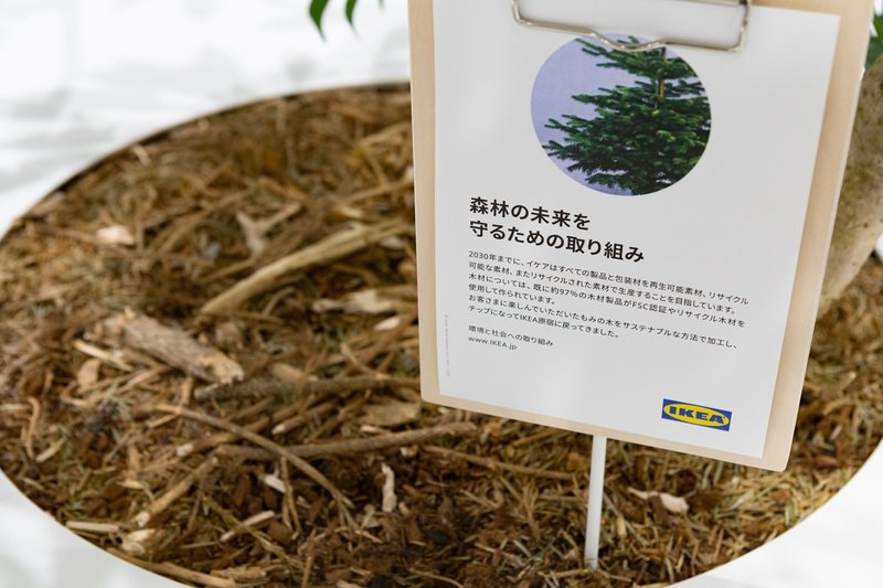 初の都市型店舗 Ikea原宿 がオープン もみの木 で生み出すサスティナブルな挑戦 Parkers Official Note Note