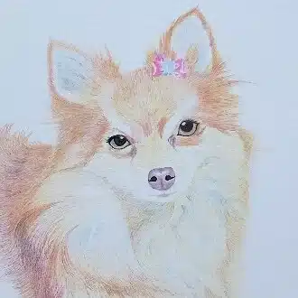 花ノ月〜絵本作家©