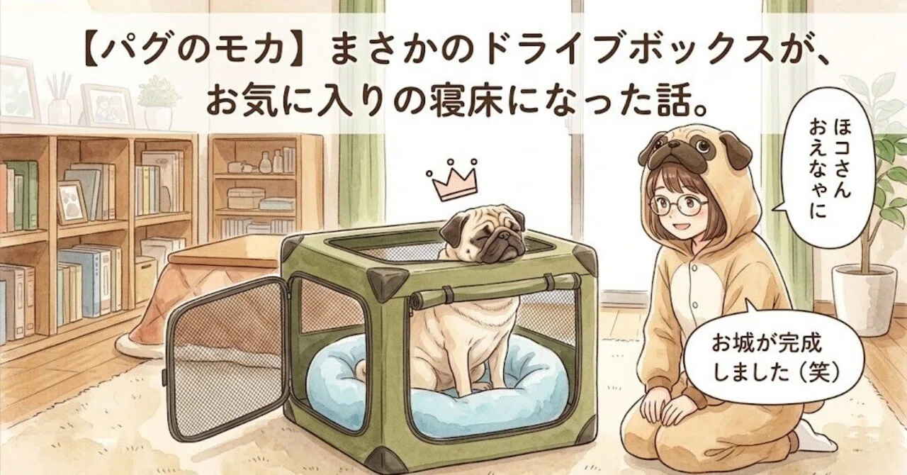 パグのモカ】まさかのドライブボックスが、お気に入りの寝床になった話