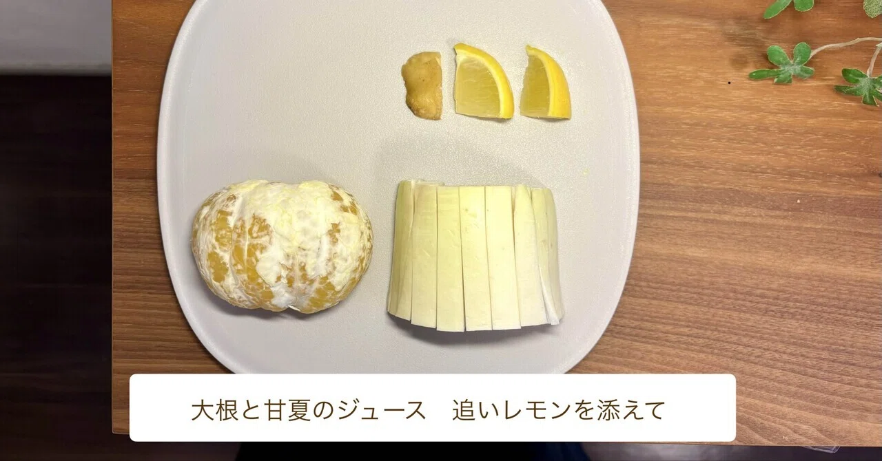 追いレモンのジュースは、期待に反してまったく同じ味だった｜すずフル