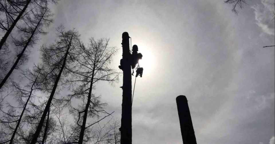 俺のバイト 造園職人 上野 真歩 Uenomasaho Note